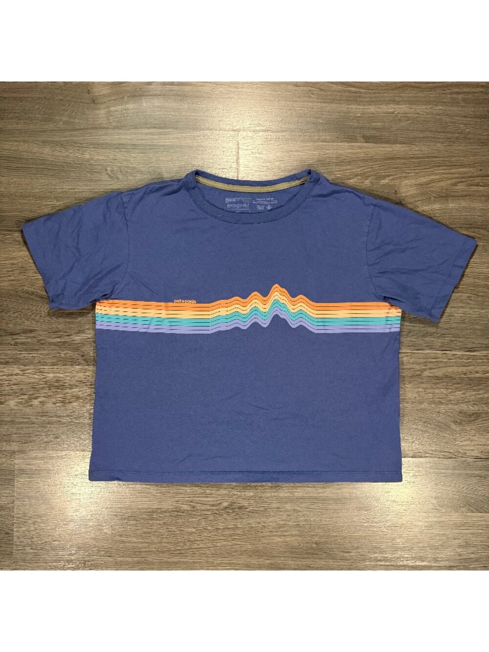 Patagonia Women's Ridge Rise Stripe Organic Easy Cut T-Shirt - Blue
